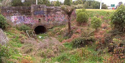 Before 1987, Mill Stream passed beneath Barry Road through this culvert. The stream bed between the culvert and Speaks Quarry used to be a water race. Water still flows during heavy rain. 2008