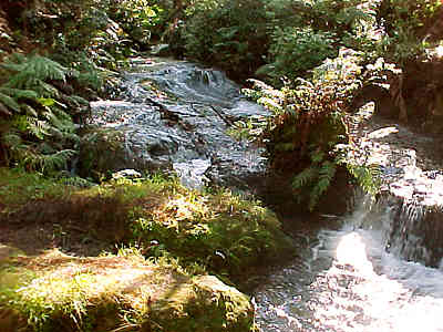 Mill Stream Cascades