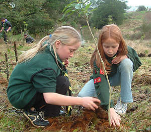 Scouts planting for the future