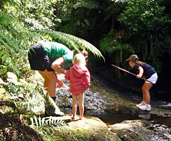 Bradley family enjoys Mill Stream  looking for koura and other wildlife